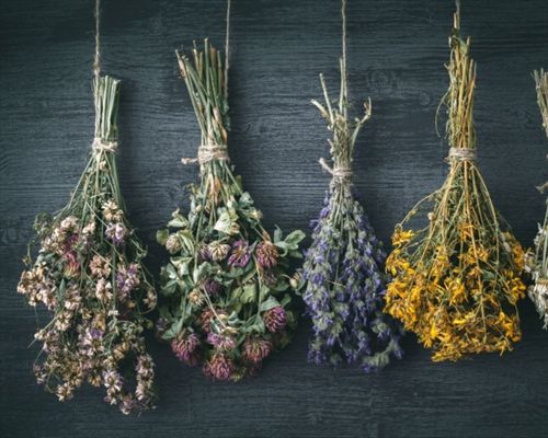 +5 cách làm hoa khô – Lưu giữ vẻ đẹp của loài hoa ngay tại nhà