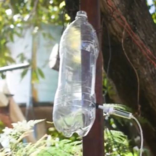 Cách để Làm hệ thống tưới nhỏ giọt bằng chai nhựa